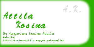 attila kosina business card